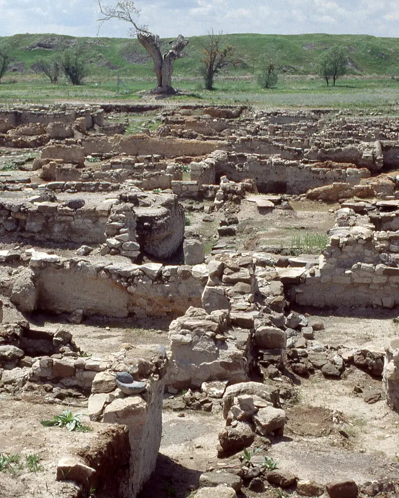 Kültepe–Kaniş