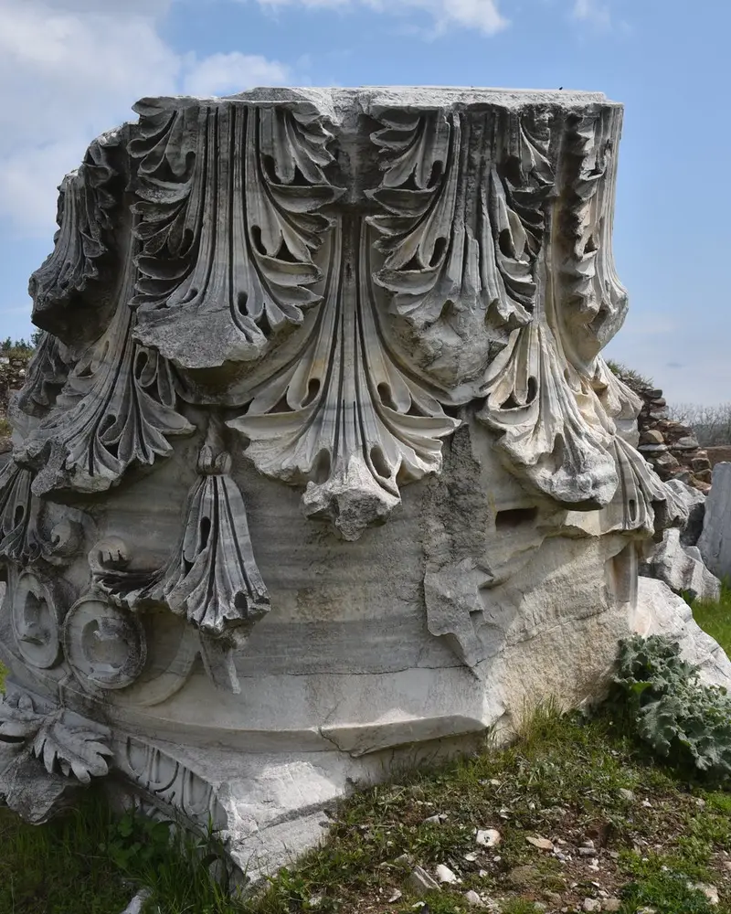 Cyzicus