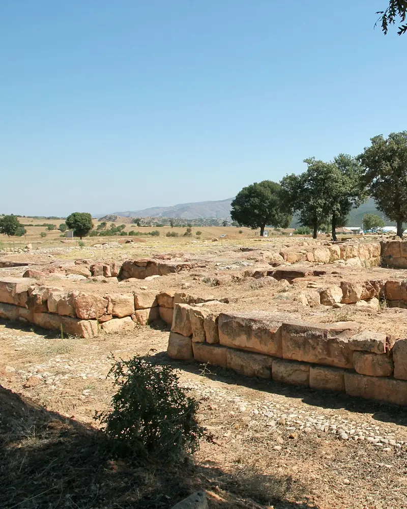 Shapinuwa